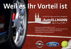 Autohaus Ellmann GmbH & Co. KG